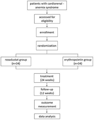 Cardiovascular Protective Effects of Oral Hypoxia Inducible Factor Prolyl Hydroxylase Inhibitor Roxadustat in the Treatment of Type 4 Cardiorenal-Anemia Syndrome: Protocol of a Randomized Controlled Trial